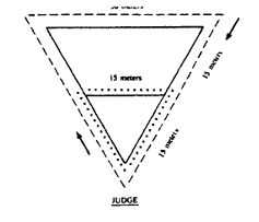 Walk trot diagram 1